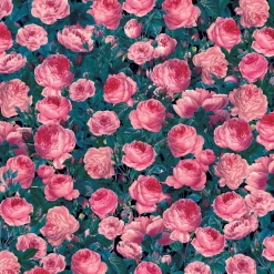 Feuilles de transfert Infusible Ink™ à motifs, Rose cent-feuilles