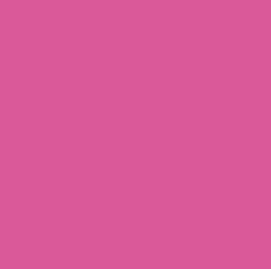 INF INK SLD PARTY PINK 12X12(2)