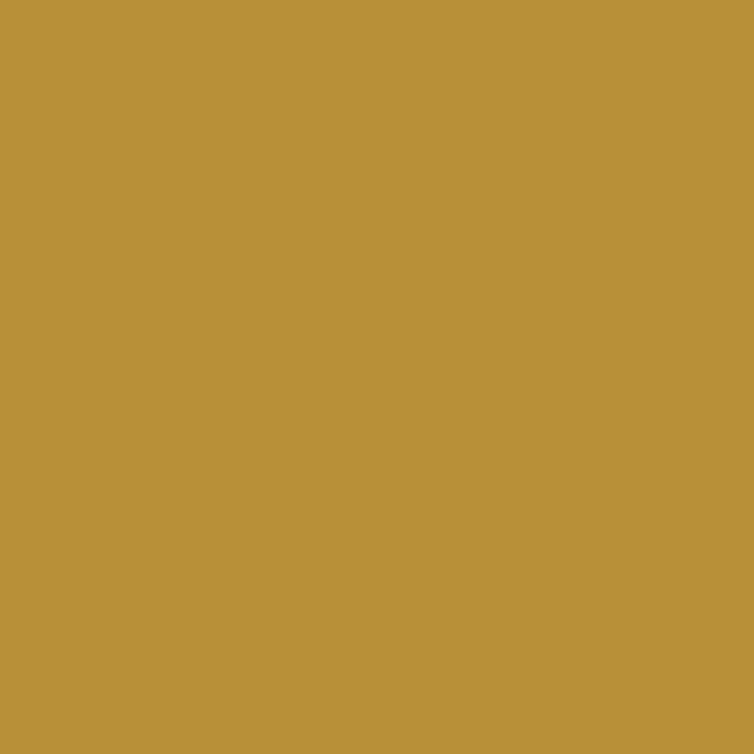 Lot économique Premium Vinyl™, Tout-Occasion-Amovible