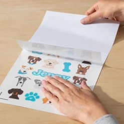 Set de stickers imperméables et imprimables - A4 (6 feuilles)
