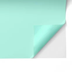 Thermocollant économique de 30,5 cm &times; 6 m (12 po &times; 20 pi), Menthe