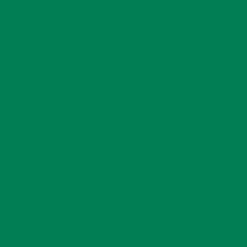 Vinyle permanent sans tapis Smart Vinyl™ Cricut Joy Xtra™ (1,8 m / 6 pi), Herbe